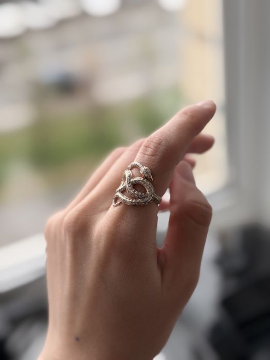 Золотое кольцо змея