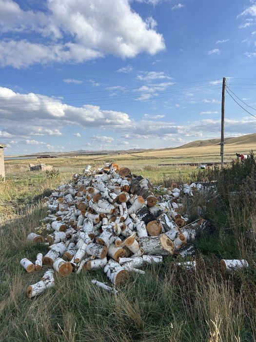 Продам дрова . Береза.