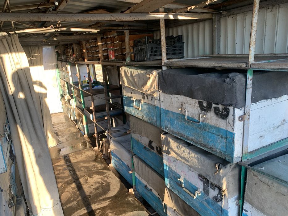 Пчело прицеп павильон прцеп