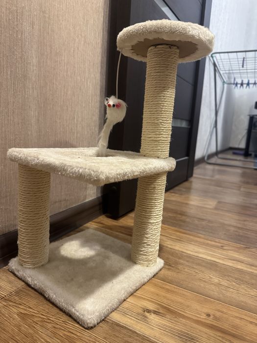 Когтеточка для котят