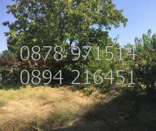 Продава се Парцел в с. Трилистник, Област Пловдив - 820 кв.м за 30 €/кв.м - Снимка #1