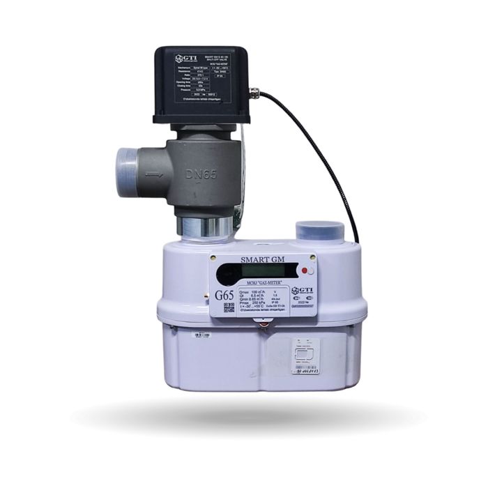 Газ счетчик OSTEN и SMART GM