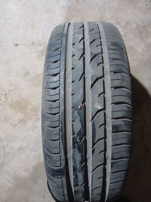 Lesetti va jentira zapaska zavkd baloni