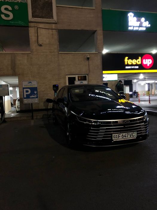 BYD chazor suhoy arenda rentcar rent car