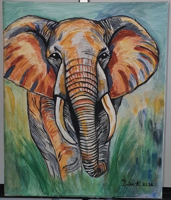 Vand tablou acrilic pe panza 50x40cm semnat