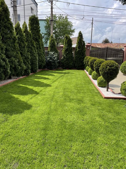 Amenajari spati verzi , intretinere si ingrijire Gradini !!!