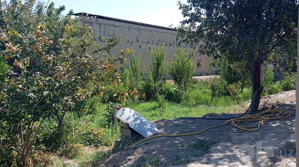 xovli sotiladi srochni yoki ijaraga beriladi biznez qilishga