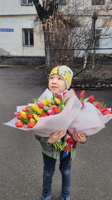 Тюльпаны Голландские