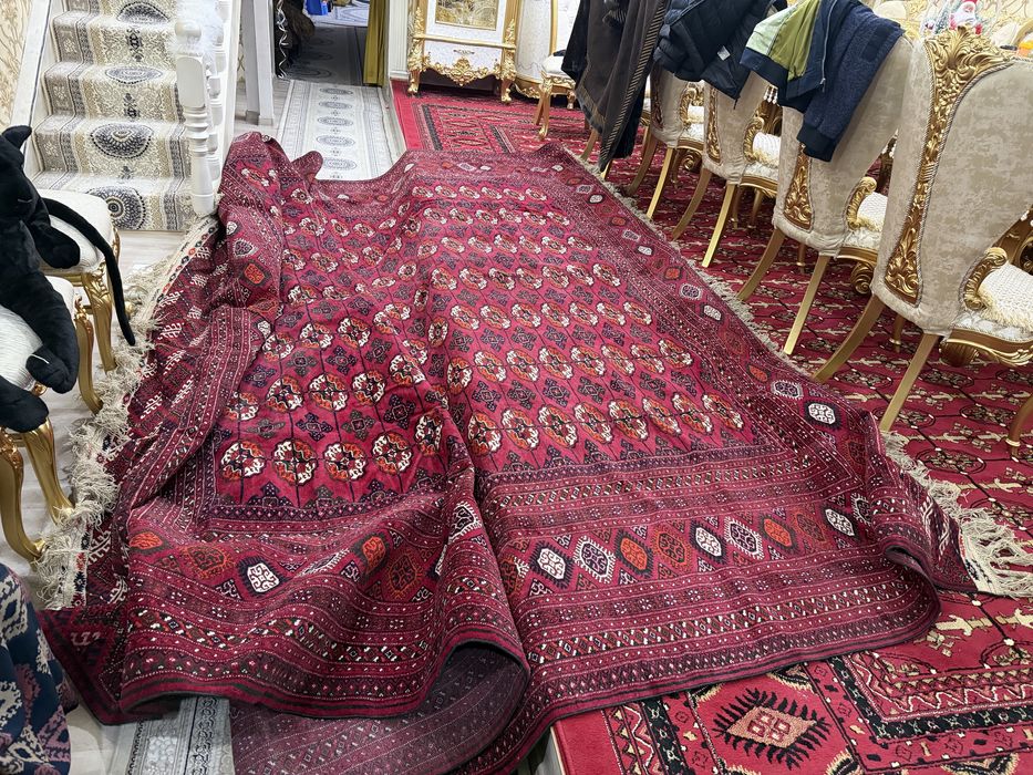 Turkman gilam 6:5 lik