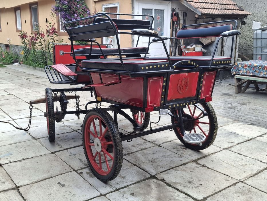 Trăsura maraton 6 locuri