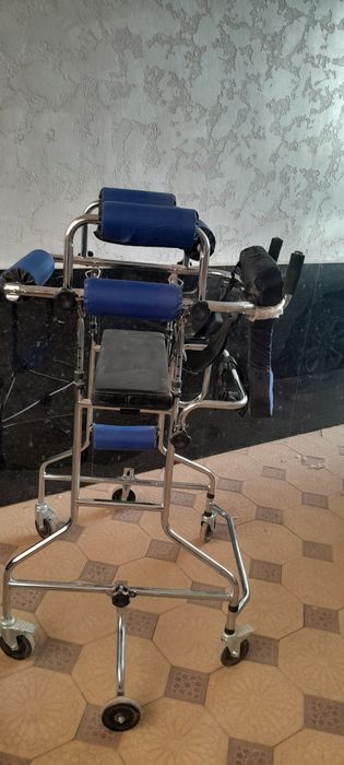 Kattalar uchun xodenok