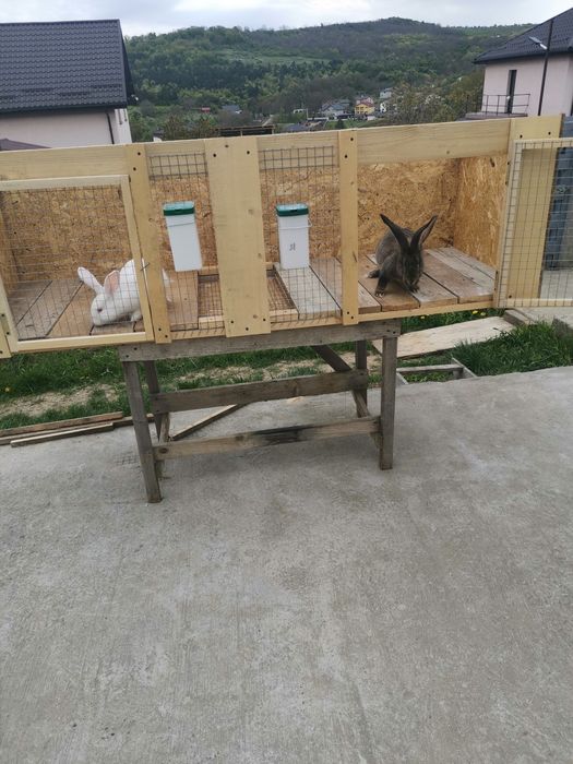 Cuști duble de iepuri, noi.