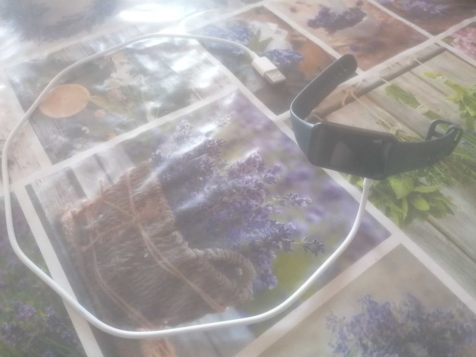 Huawei гривна за спорт