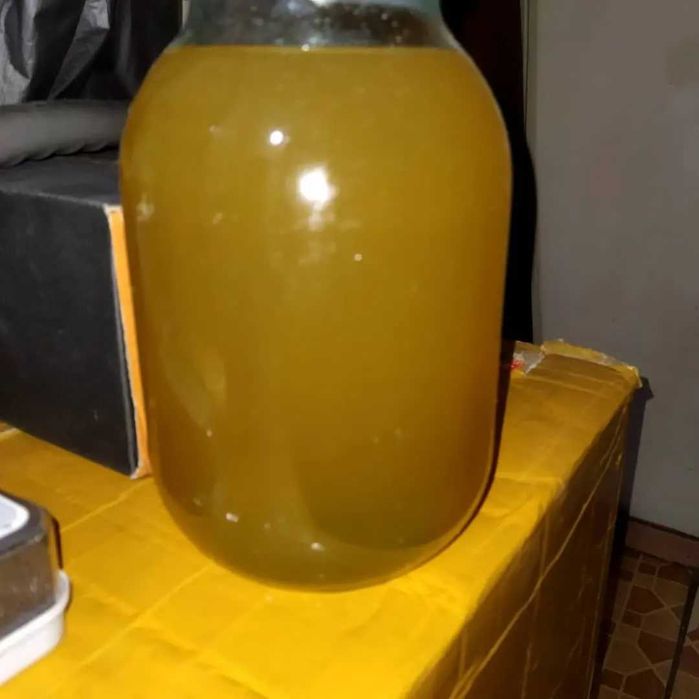 Мёд с Алтая пять сортов