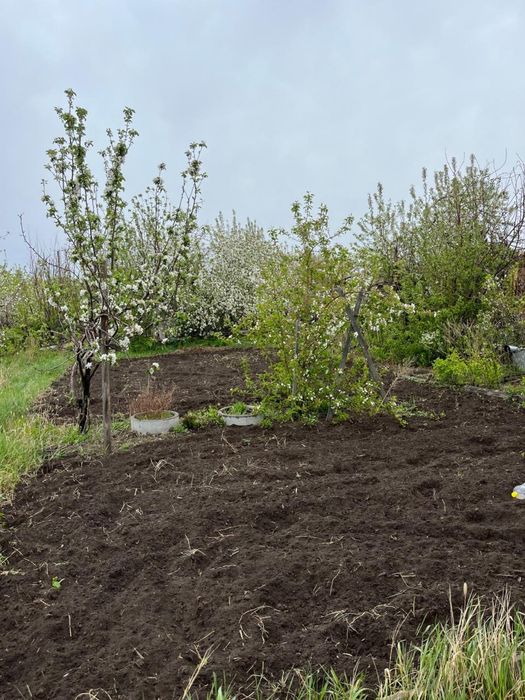 Продам дачный участок