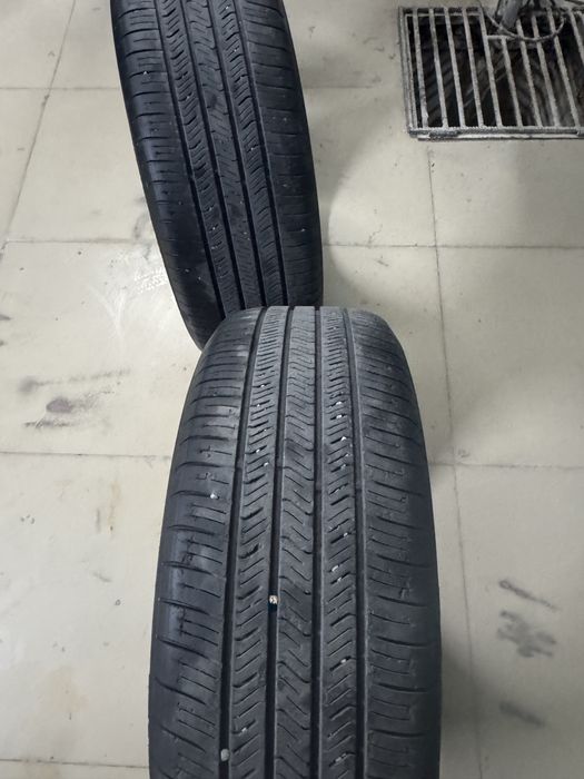 Шины Toyo сатылады