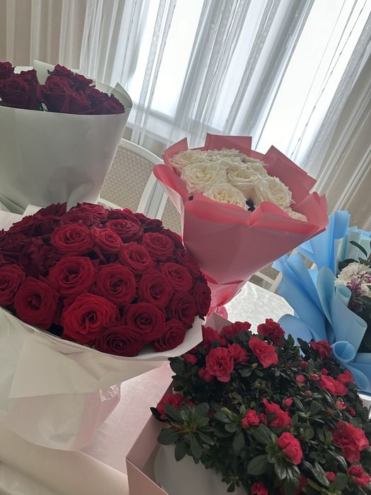 Продаю цветы свежые цены разные