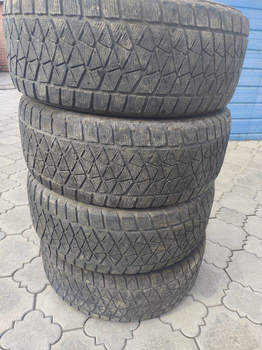 285 60 р18 летние