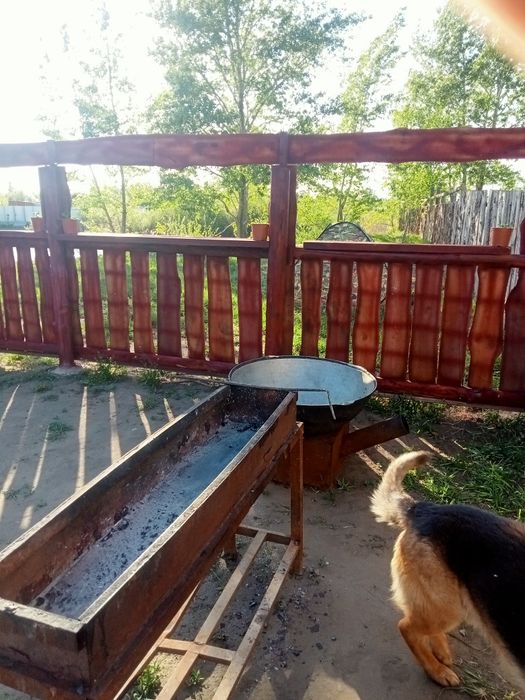 Дача дом посуточно