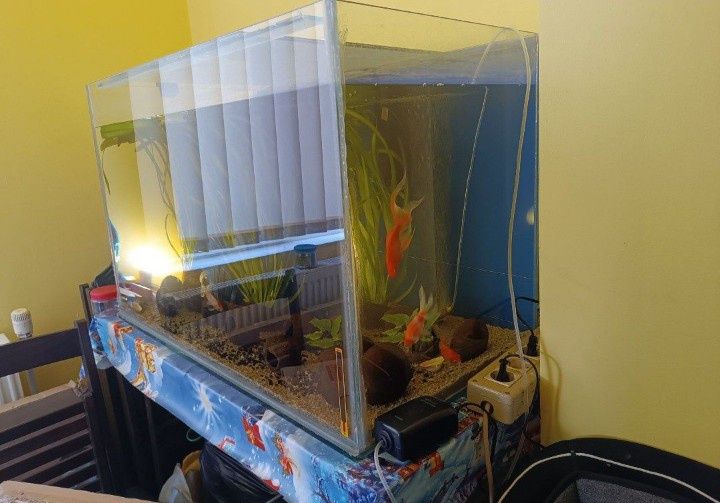 Acvariu pești 285 L