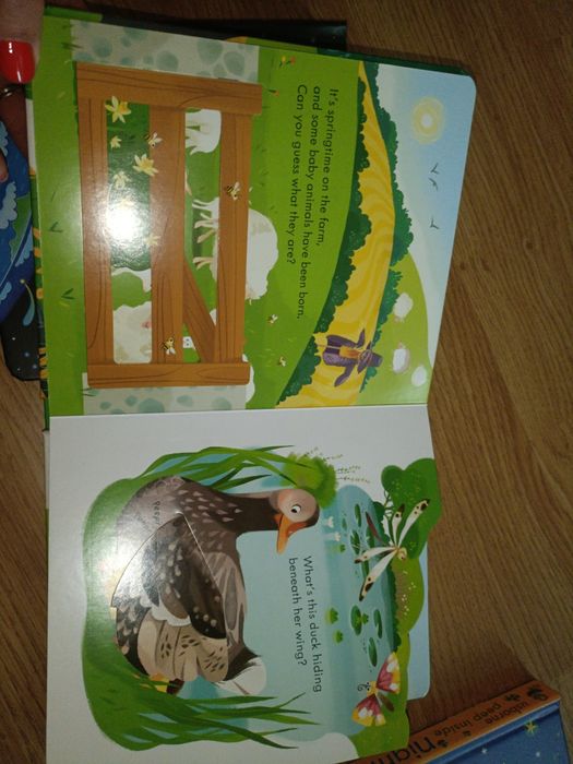 Carti usborne noi clapete