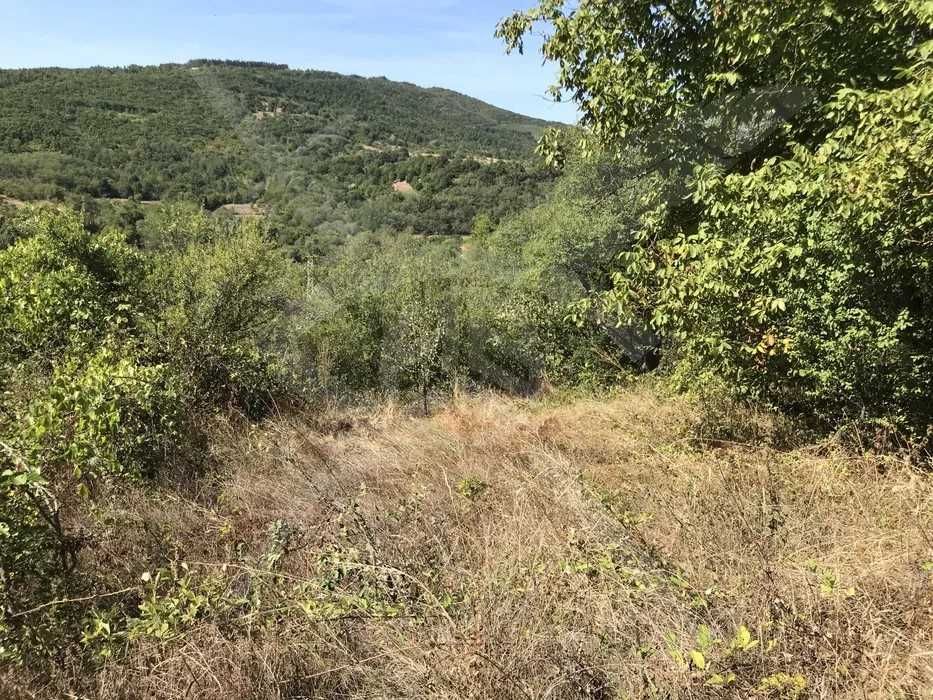 Продава се Парцел в с. Мраченик, Област Пловдив - 915 кв.м за 13 €/кв.м - Снимка #3