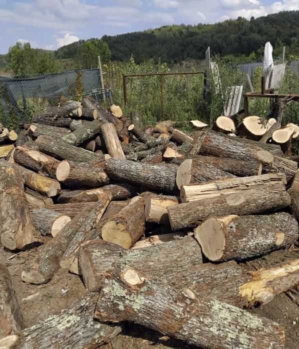 Ofer servici de tăierea lemnelor pentru foc