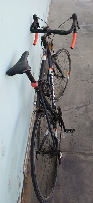 cursiera triban500 XL