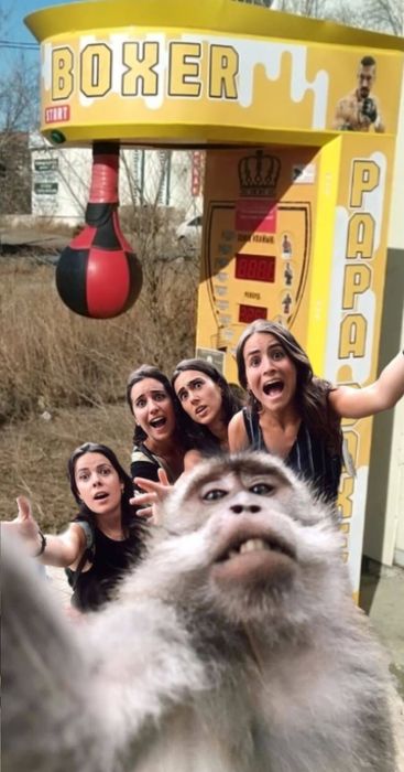 Продам два аппарата силомер