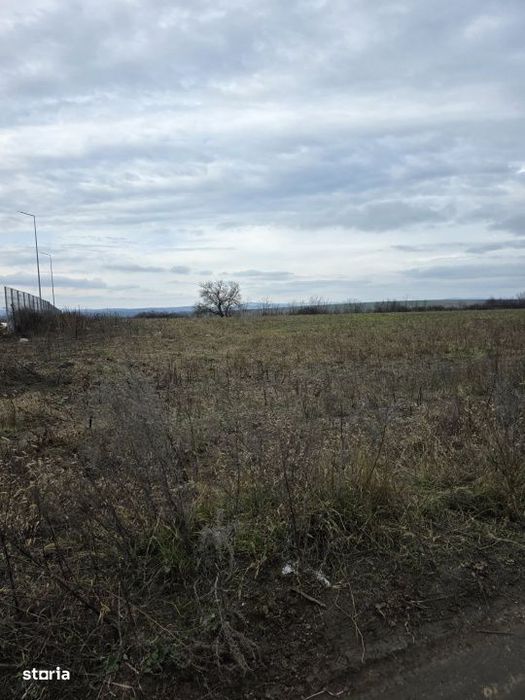 Teren intravilan Vaslui Strada Dimitrie Cantemir
