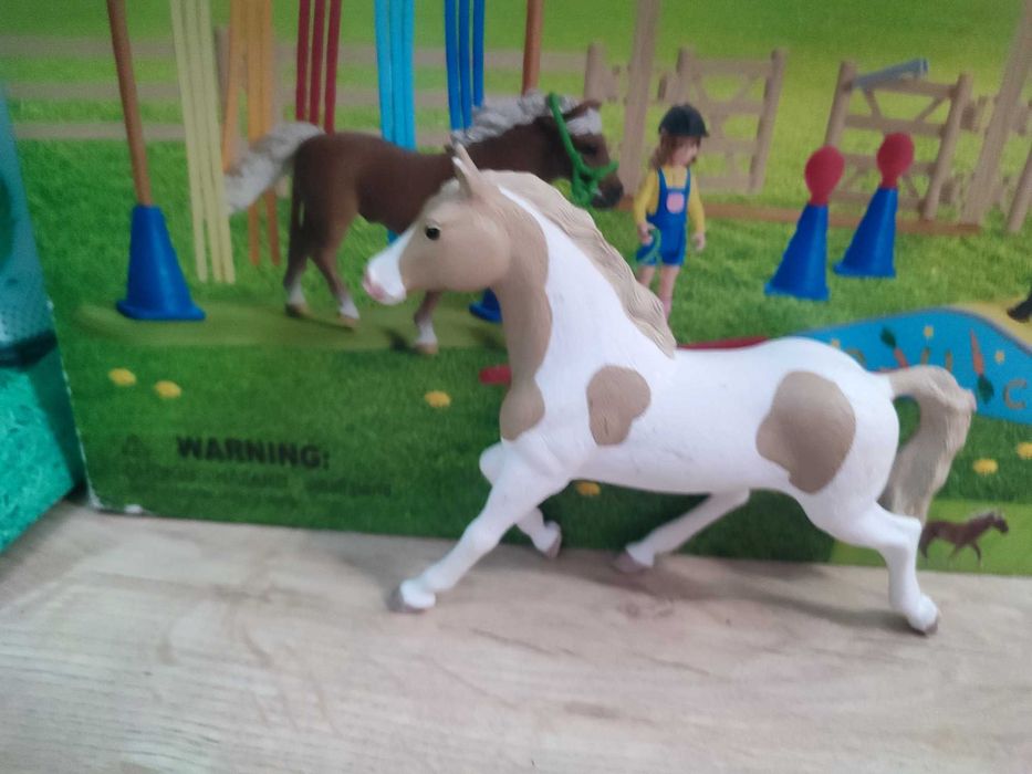 Cai schleich foarte bine îngrijit