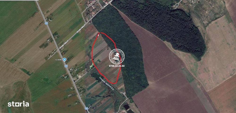Teren Iepureni la padure