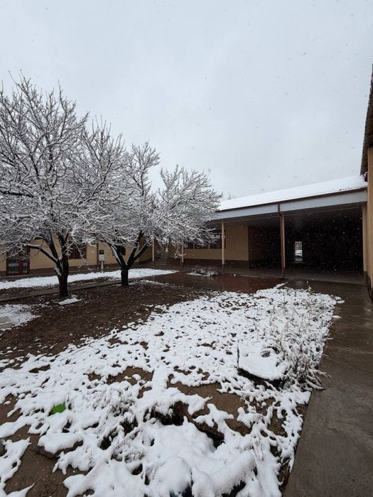 Круг Рохат Олмос Махалля  Дом 8 соток