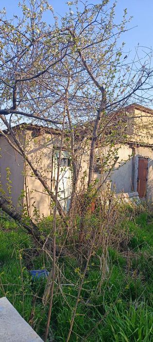 Zangi ota, Urtaovul hovli sotiladi, 6 sotix, 3 hona