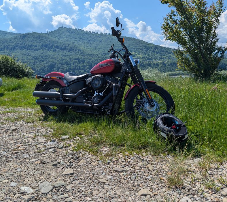 Harley Davidson Softail Street Bob 2019 FXBB