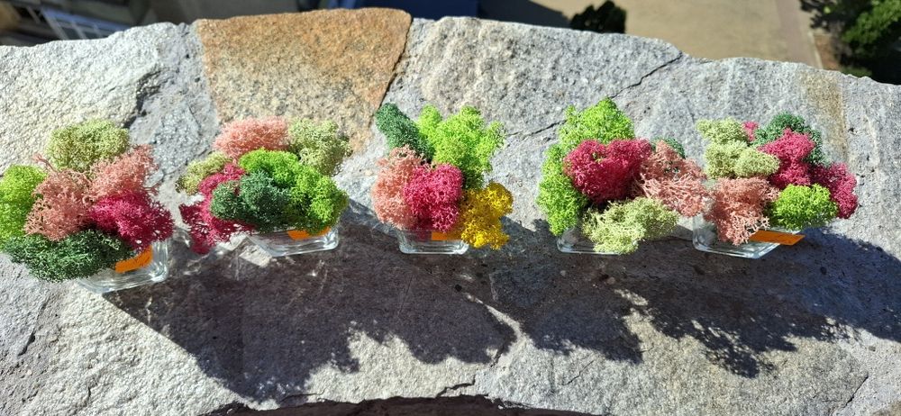 Бюджетни подаръци със скандинавски мъх