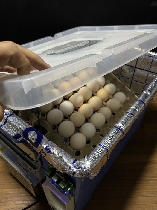 Tuxum uchun Inkubator Avtomat