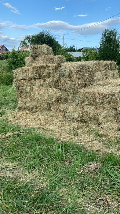 Vând baloți amestec ( lucernă și fân )
