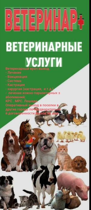 Ветеринарный врач на выезд.