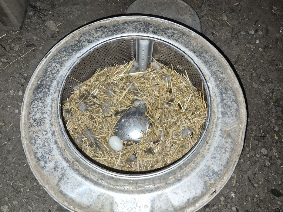Cuibare pentru gaini ,cuve masini de spălat  si gratare