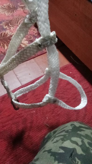 Нокта обротьку налошоть