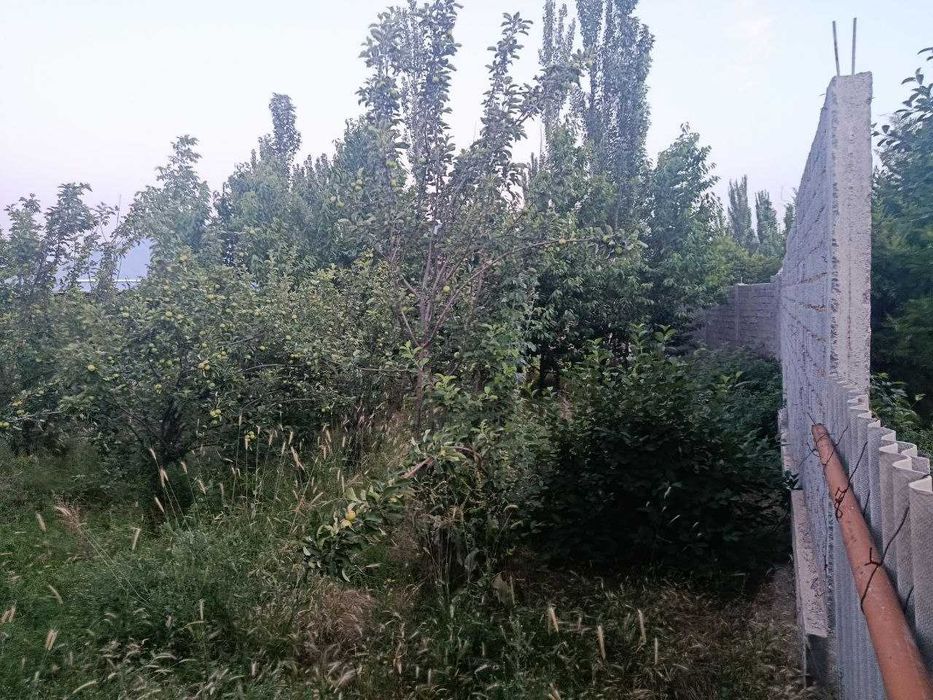 Bo'stonliq tumani, Soyliq qishlog'ida yer sotiladi