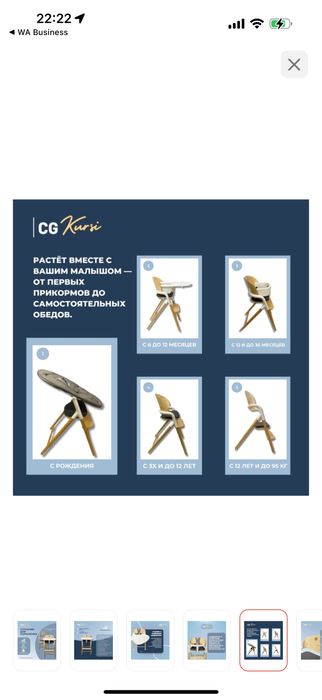 Стульчик для кормления CG Kursi НОВЫЙ