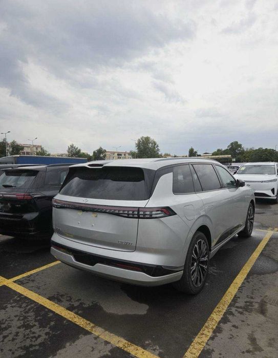 Dongfeng 008 ultra 6 mestali