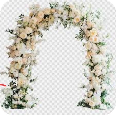Marry me Предложение руки и сердца  Костанай