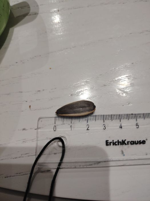 Семечки "Мол" большие полосатые