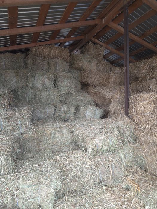 Vand baloti paie/fan