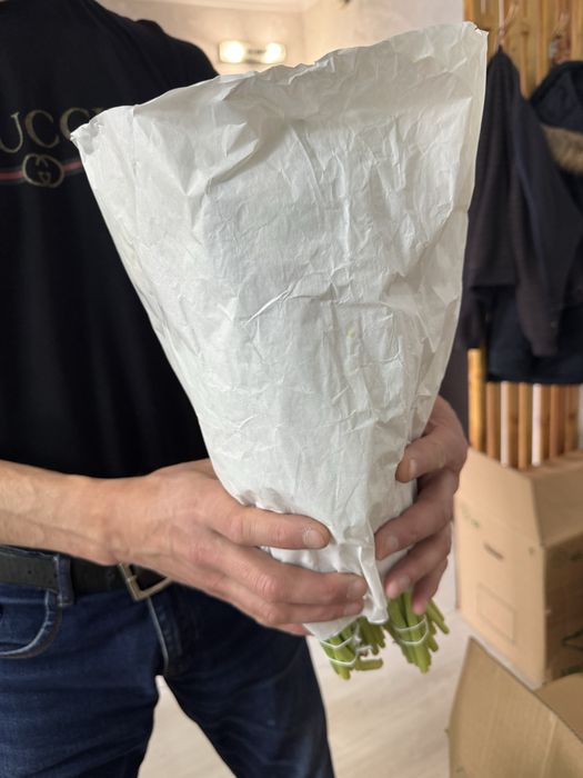 Тюльпаны голландские 470 тг доставка