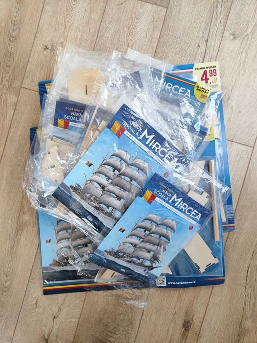 Reviste Bricul Mircea