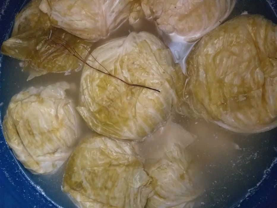 Vând varză murată calitate deosebită